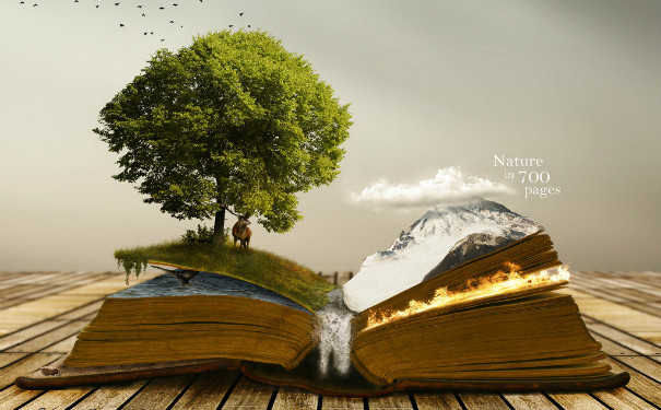 参与出版专著课题论文.jpg 参与出版专著课题论文.jpg