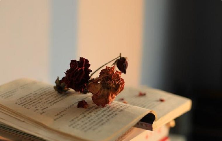 不用书号印书.jpg 不用书号印书.jpg